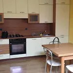 Apartment Mansarda Vigezzina