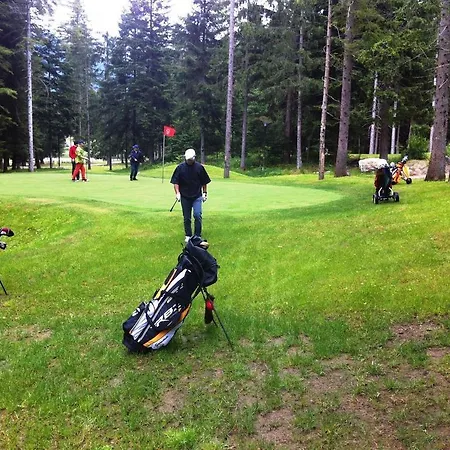 Daire Mansarda Vigezzina Locazione Turistica *